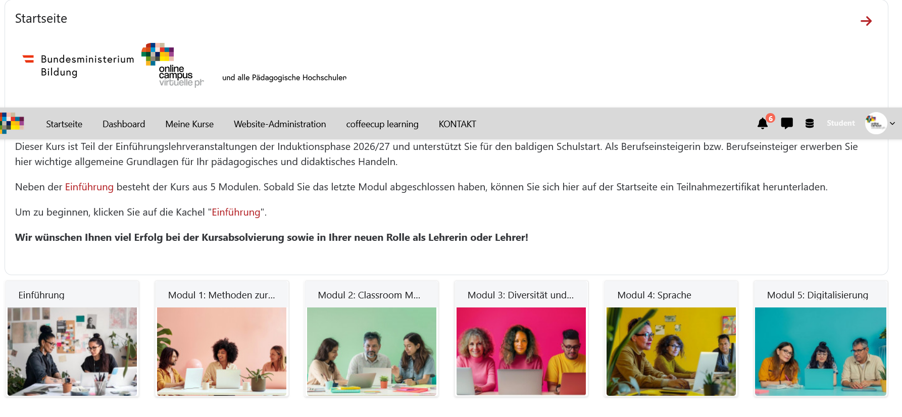 Induktions-MOOC – Kursinhalt